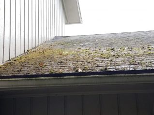 Roof Cleaning Before Pic Penfield, NY